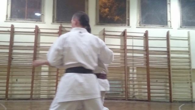 Shotokan Karate Budoshin Self Defence
