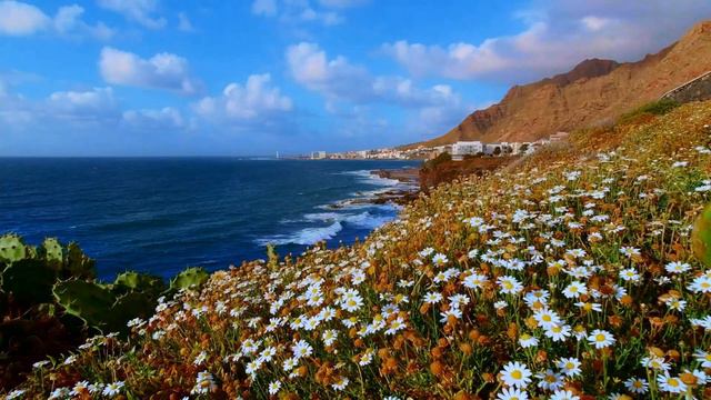 4K RELAXING NATURE VIDEO,4K 60FPS ,1080P 60FPS, OCEAN ,MOUNTAINS,WAVES,BREATHTAKING NATURE 4K 60FPS