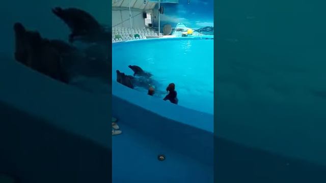 До скорой встречи!, друзья! смотреть онлайн