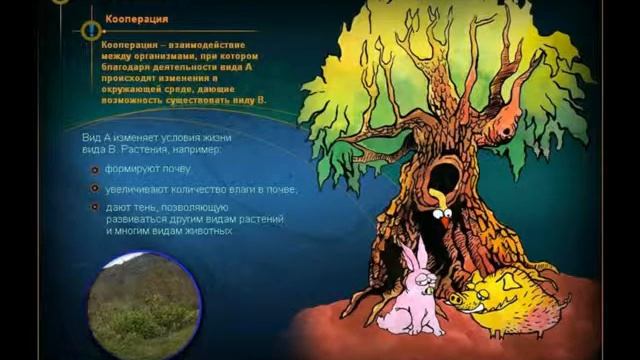 Презентация Взаимоотношения между организмами и исследования смотреть онлайн