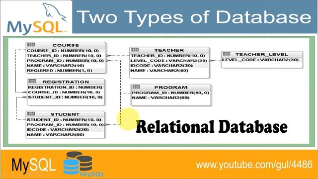 MySQL DBMS | Database & Its Types | Conceptual Explaination смотреть онлайн