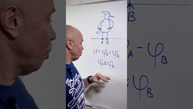 Почему птиц, не бьет током на проводах? #ФИЗИКА #ОГЭ #ЕГЭ #онлайншкола смотреть онлайн