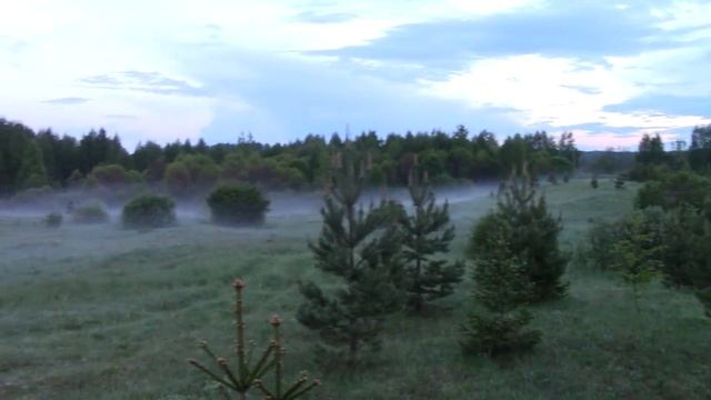 Супер тяга вальдшнепа весной. "Майская сказка". Часть 4. смотреть онлайн