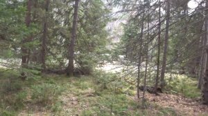 Река Мана весной