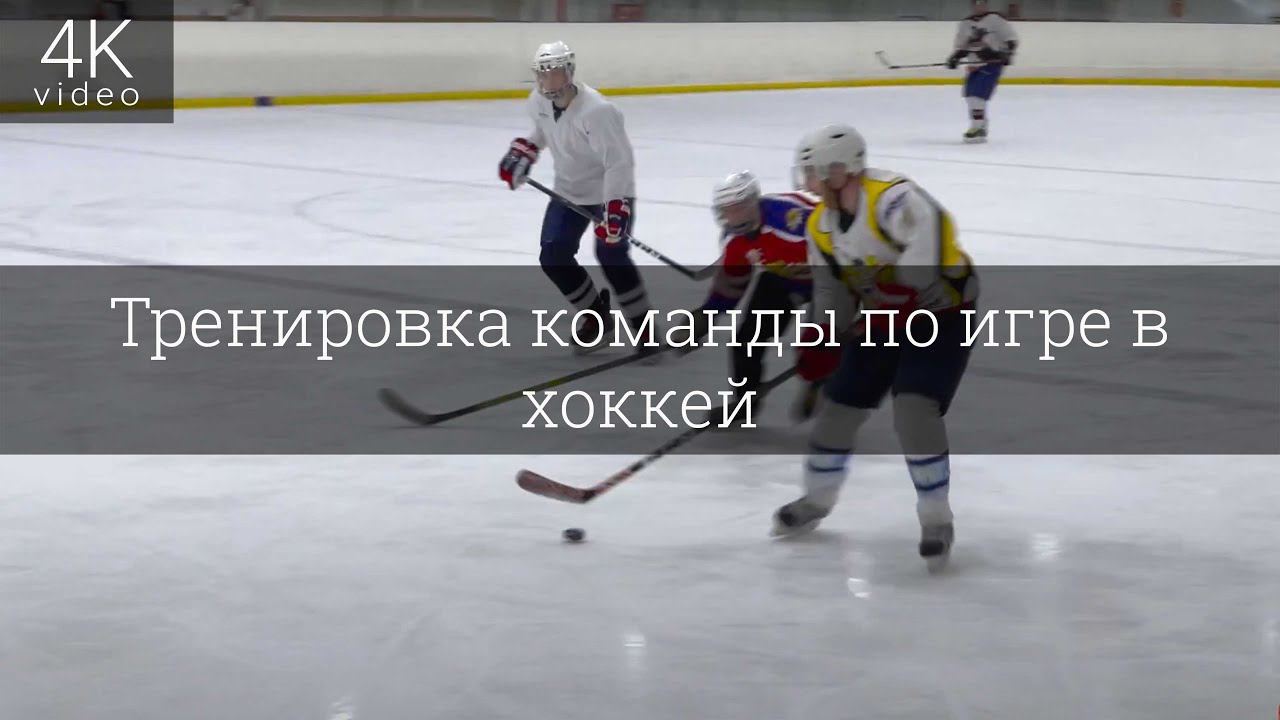 Тренировка команды по игре в хоккей смотреть онлайн