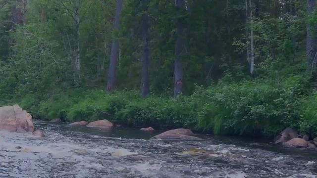 Река Кузема. Карелия. Водный поход на байдарке по Карелии в Белое море смотреть онлайн