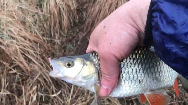 ГОЛАВЛЬ на опарыш не ожидал (18+) смотреть онлайн