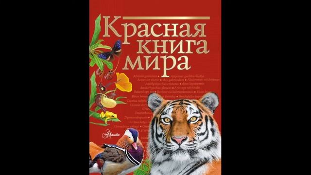 Драгоценные камни весны - подснежники. МК - Подснежник на открытке. смотреть онлайн