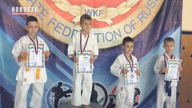 В Новочебоксарске прошло открытое Первенство по каратэ wkf смотреть онлайн