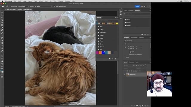 How to Use the Swatches Panel in Photoshop смотреть онлайн