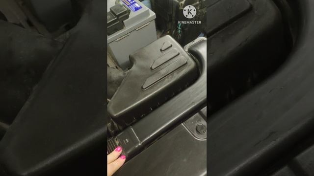 Предварительные ласки? смотреть онлайн