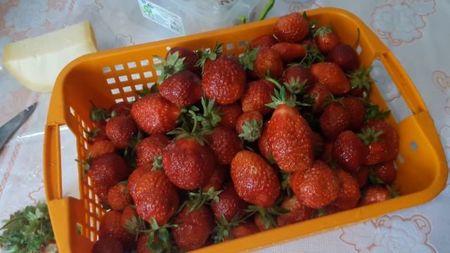 Обзор клубники сорт Русановка/Ранний сорт клубники открытый грунт смотреть онлайн