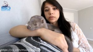 НОРКИ: Как в нашем доме появился зверь 4. Не берите норку!