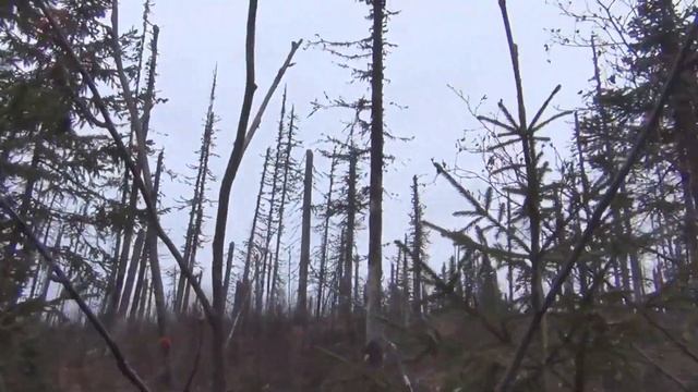 Рыболовный Рай. Хариус Клюет Каждый Заброс. Крупный. Серия 6. Жарим Хариуса. Рыбалка в тайге Сибирь смотреть онлайн