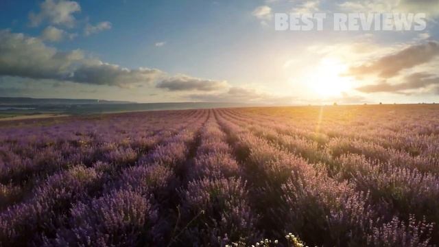 5 Best Smart Mask Electric Respirator For Virus Protection 2023 смотреть онлайн