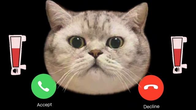?APPLE  RINGTONE IPHONE Pro  #pro #iphone #cat EP.33