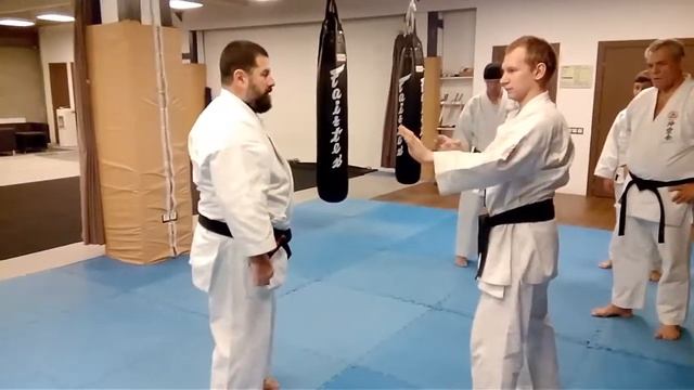 Bunkai application Shito ryu Mabuni ha смотреть онлайн