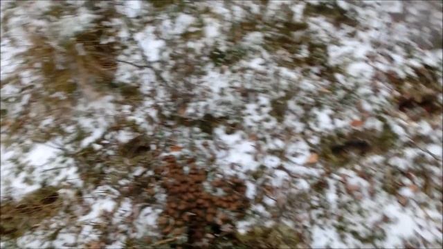 Лосиное логово смотреть онлайн
