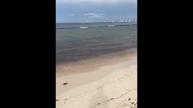 Пляж отеля Natura Park, Доминикана смотреть онлайн