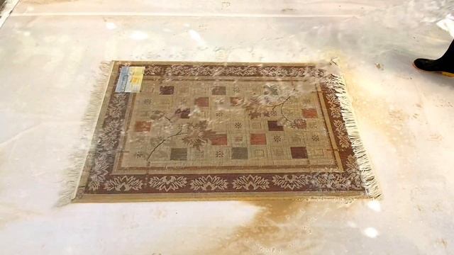 Muddy Rug Washing Satisfying | Carpet Cleaning | ASMR | Rug Cleaning
