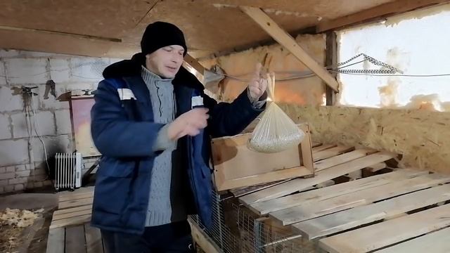 КРОЛИКИ ? из г. ЧАУСЫ обзор покупки смотреть онлайн