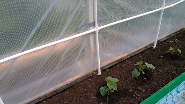 Теплица. Ошибки приклейки пленки и пайки пластиковых труб. Как не надо клеить плёнку. смотреть онлайн