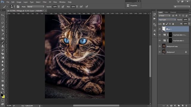 Photoshop Tutorial | How To Edit A Kitty Photo With Photoshop | Camera Raw Filter