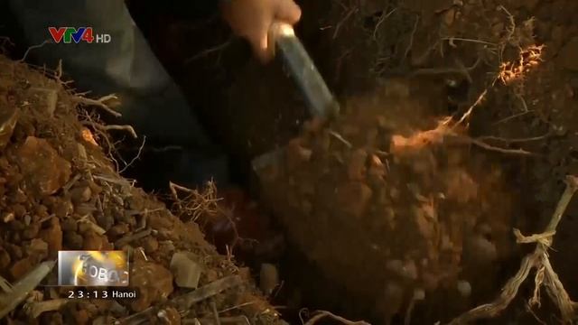 Программы на русском языке - 12/05/2018 смотреть онлайн