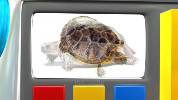 Learn French for Kids | Rock 'N Learn