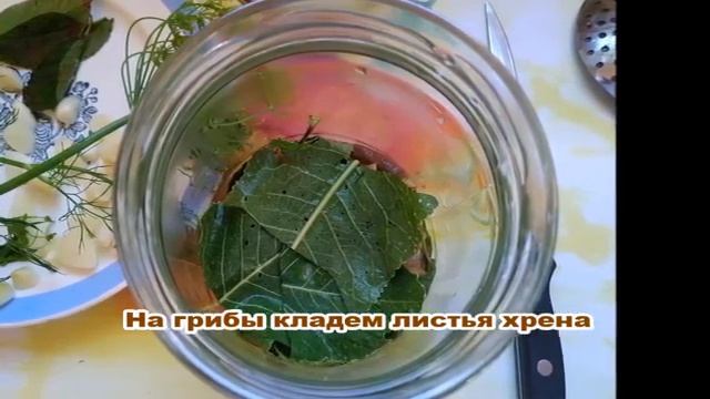 Засолка рыбы и икры в домашних условиях