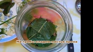 Волнушки солёные горячим способом