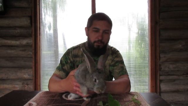 Фландр вес в 30 дней. смотреть онлайн