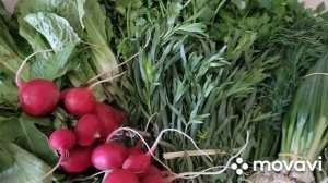 АРМЯНСКИЙ ПАСХАЛЬНЫЙ СТОЛ / ԶԱՏԿԻ ՍԵՂԱՆ? #զատիկ