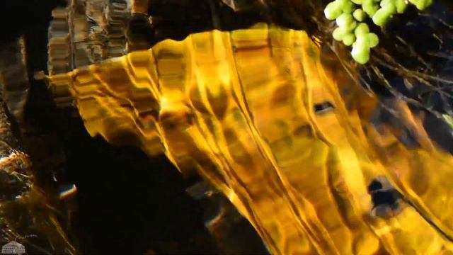 Природа Калужской области. Деревня N смотреть онлайн