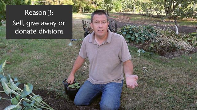 Why Divide Into Pots? смотреть онлайн