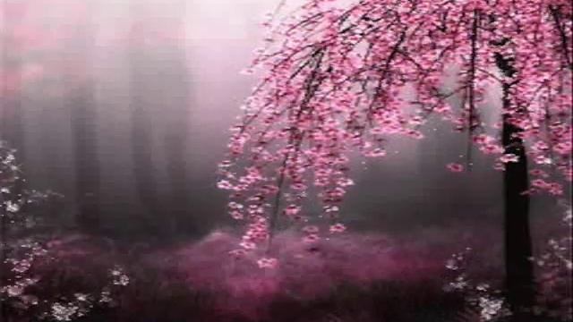 Био-музыка. Звуковой массаж души. http://relax-photo.ru смотреть онлайн