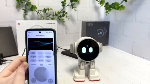 Обзор робота Rux, который понимает русский язык