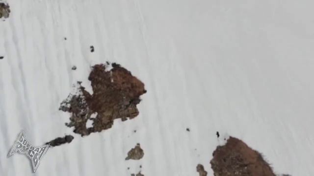 Упорство и Отвага. Медвежонок.