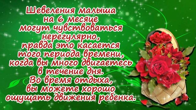 Будущая мама на 6 месяце беременности! смотреть онлайн