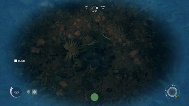 Ancestors: The Humankind Odyssey - How to build a sleep spot смотреть онлайн