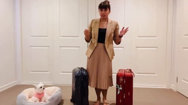 Samsonite Vs Rimowa | Cabin Size Luggage Comparison B/w Samsonite Cosmolite Vs RIMOWA Salsa Deluxe