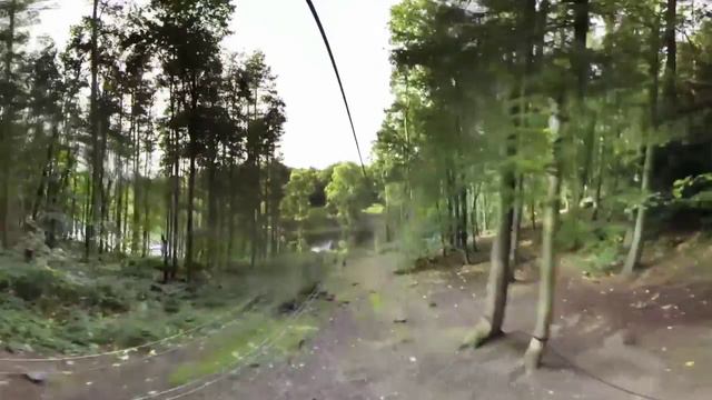 A day at PGL смотреть онлайн