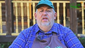 Лучшие сорта яблонь, какой сорт яблонь лучше посадить?