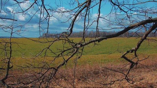 Весна . смотреть онлайн