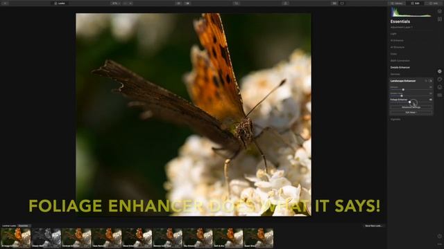 Quick photo edit using Luminar 4 смотреть онлайн