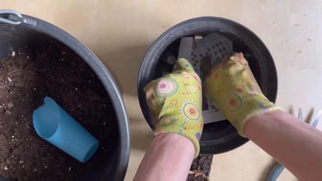 Гортензия Сандей Фрайз Обрезка Черенкование смотреть онлайн