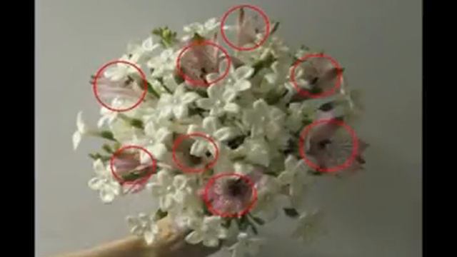 How To Make A Stephanotis Bridal Bouquet смотреть онлайн