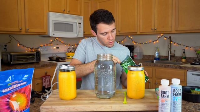 Growing Peppers in Hydroponics Jars - From Seeds to Full Plants (Part 2) смотреть онлайн