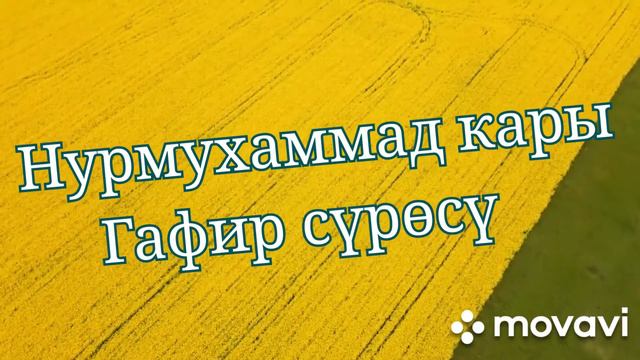 Нурмухаммад кары смотреть онлайн