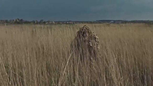 Погран войска Укрианы! Border guard in Ukraine 2016 смотреть онлайн